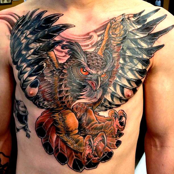 Tatuaż sowa skrzydła kolorwe
