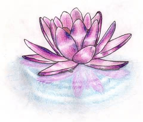 Różowy lotus na wodzie tatuaż wzór