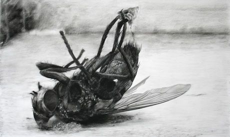 Martwa mucha wzór tatuażu