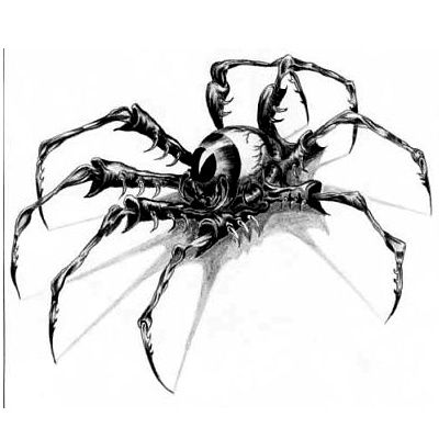 Pająk z okiem ludzkim wzór