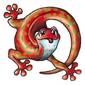 Pomarańczowa jaszczurka wzór