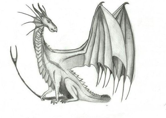 Smok olbrzymie skrzydła