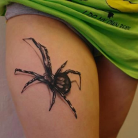 Tatuaż pająk 3D
