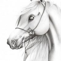 Biały koń tatuaż wzór