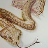 Brązowy wąż tatuaż wzór