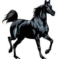Czarny koń tatuaż wzór