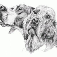 Dwie głowy psów tatuaż wzór