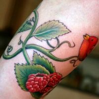 Maliny i ptak tatuaż