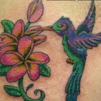 Kwiaty plumerii i koliber tatuaż