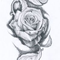 Róża i liście tatuaż wzór
