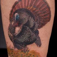 Tatuaż piękny indyk