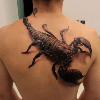 Tatuaż skorpion na plecach