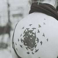 Tatuaż z czarnymi ptakami