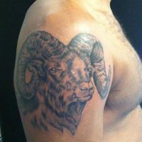 Tatuaż znak zodiaku baran