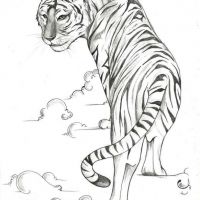 Tygrys w obłokach wzór tatuażu