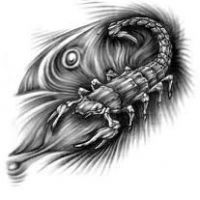 Wzór tatuażu skorpion znak zodiaku