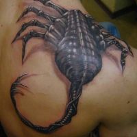 Czarny skorpion 3d tatuaż