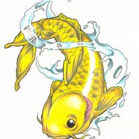 Żółta ryba Koi wzór