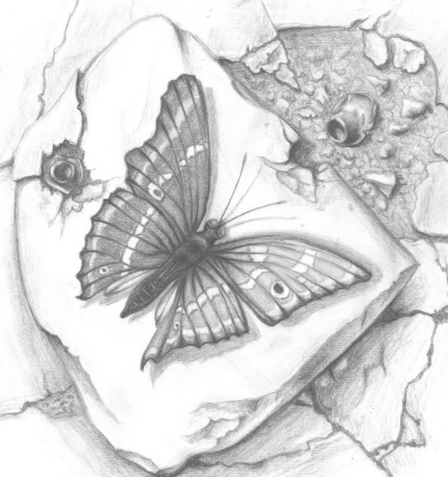 Wzór tatuażu motyl na kamieniu