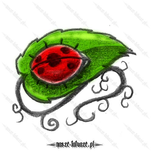 Biedronka na zielonym liściu