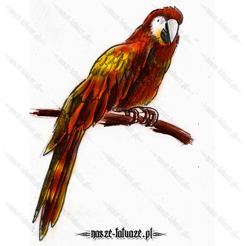 Czerwono-żółta papuga