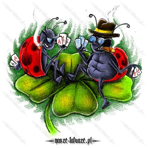 Dwie biedronki na koniczynie