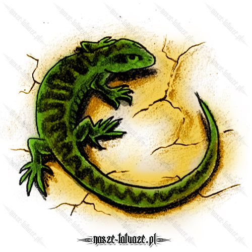 Jaszczurka z zygzakiem