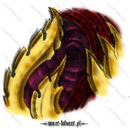 Kolorowa biomechanika