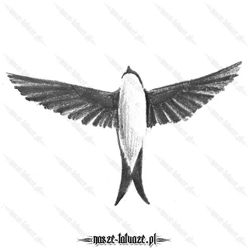 Ptak z rozłożonymi skrzydłami