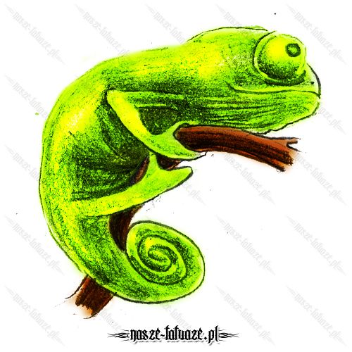 Seledynowa jaszczurka