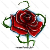 Czerwona róża
