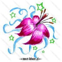 Różowy kwiat lilii