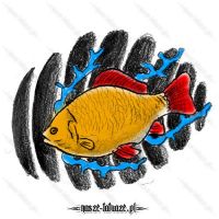 Żółto-czerwona ryba