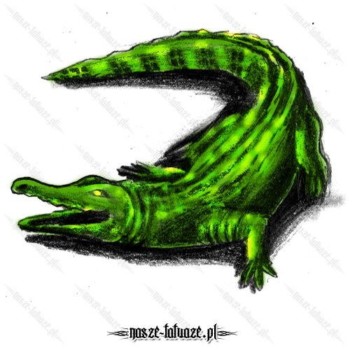 Zielony krokodyl